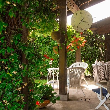 Il Gomitolo Bed & Breakfast Biella Dış mekan fotoğraf
